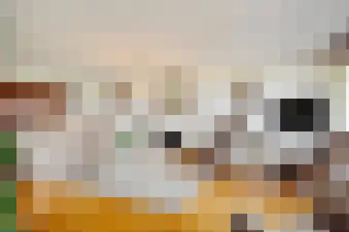 Essehout 106 Zoetermeer thumbnail 20