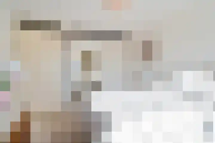Essehout 106 Zoetermeer thumbnail 29