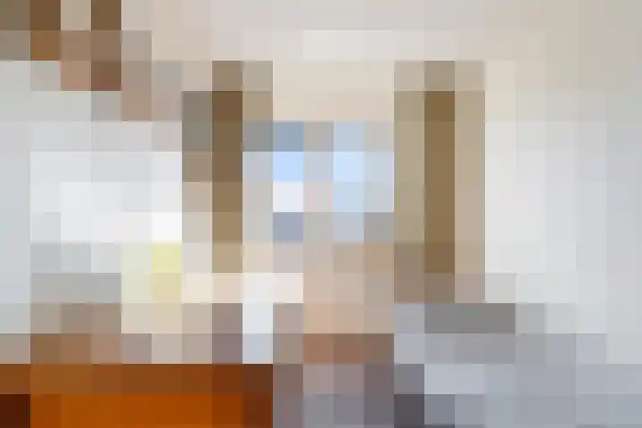 Essehout 106 Zoetermeer thumbnail 34