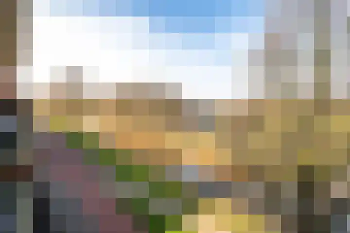 Essehout 106 Zoetermeer thumbnail 39