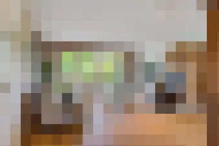 Essehout 132 Zoetermeer thumbnail 16