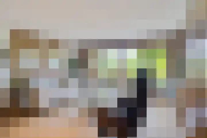 Essehout 132 Zoetermeer thumbnail 17