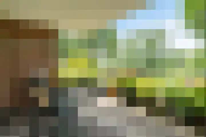 Essehout 132 Zoetermeer thumbnail 22