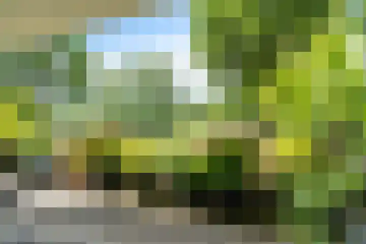 Essehout 132 Zoetermeer thumbnail 23