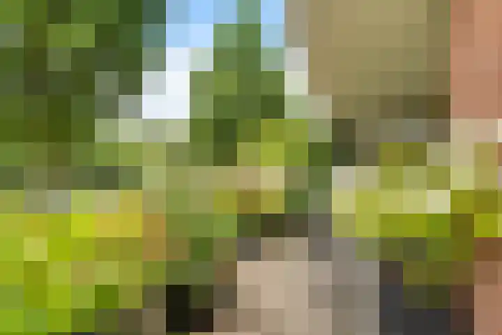 Essehout 132 Zoetermeer thumbnail 25