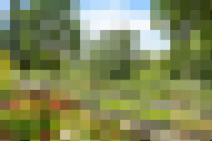 Essehout 132 Zoetermeer thumbnail 26