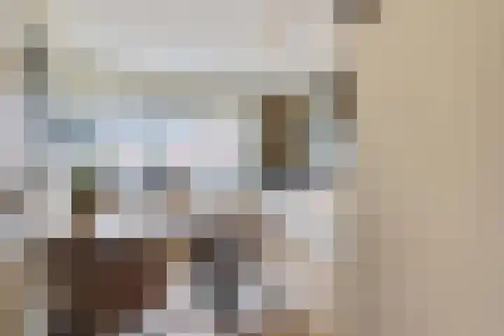 Essehout 132 Zoetermeer thumbnail 30