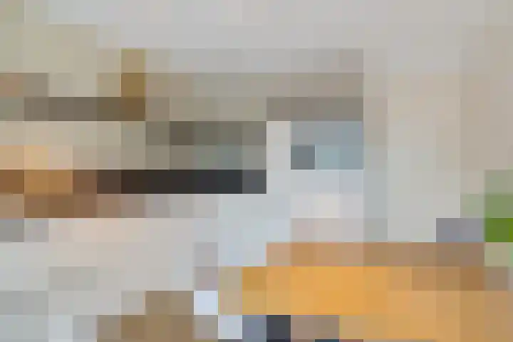Essehout 132 Zoetermeer thumbnail 33