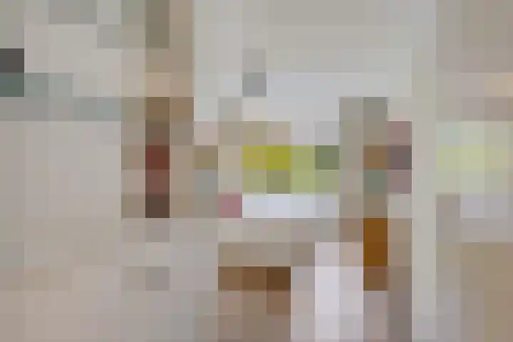 Essehout 132 Zoetermeer thumbnail 36