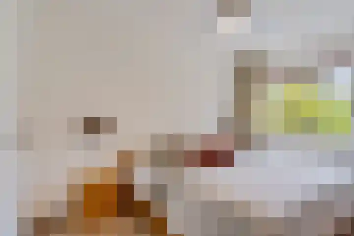 Essehout 132 Zoetermeer thumbnail 39