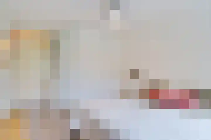 Essehout 132 Zoetermeer thumbnail 41
