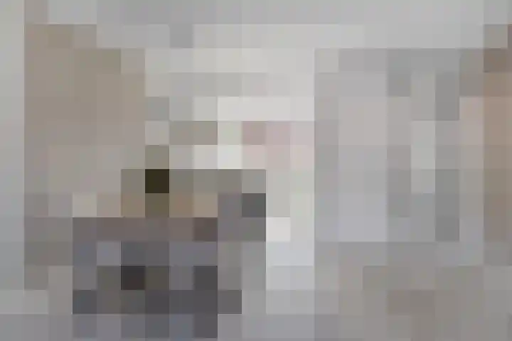 Essehout 15 Zoetermeer thumbnail 12