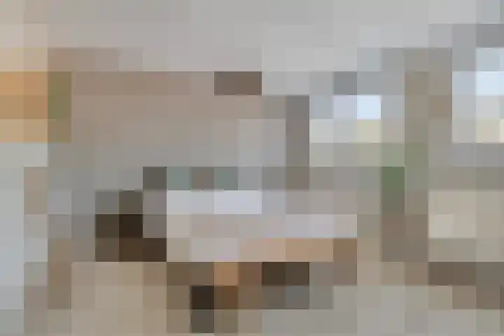 Essehout 15 Zoetermeer thumbnail 17