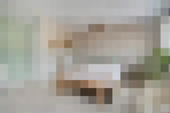 Essehout 15 Zoetermeer thumbnail 18