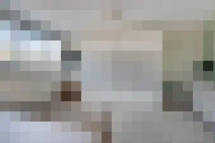 Essehout 15 Zoetermeer thumbnail 19