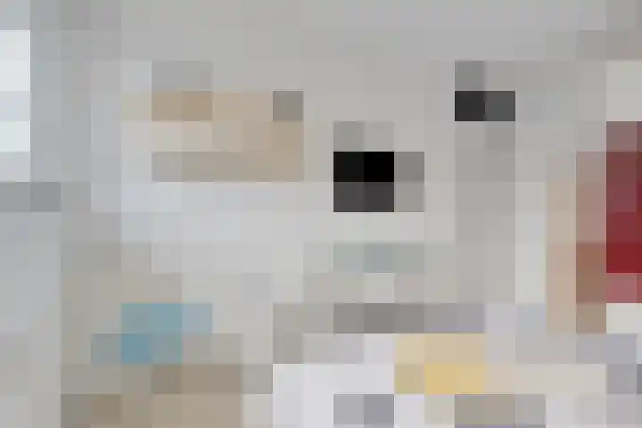 Essehout 15 Zoetermeer thumbnail 24
