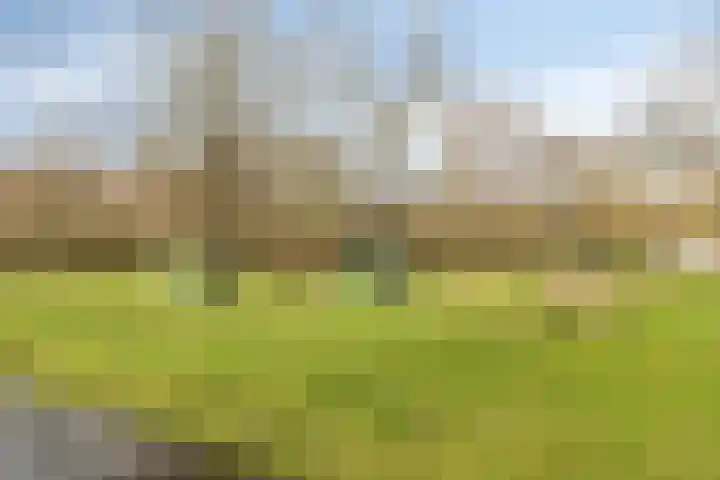 Essehout 15 Zoetermeer thumbnail 35