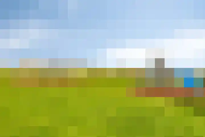 Essehout 15 Zoetermeer thumbnail 37