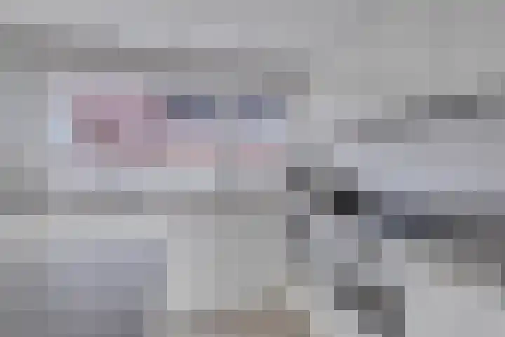 Essehout 15 Zoetermeer thumbnail 4