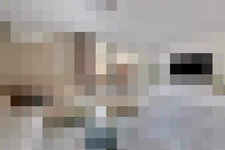 Essehout 15 Zoetermeer thumbnail 9