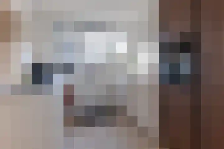 Essenburg 5 Ugchelen thumbnail 13