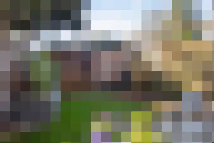 Essenburg 5 Ugchelen thumbnail 17