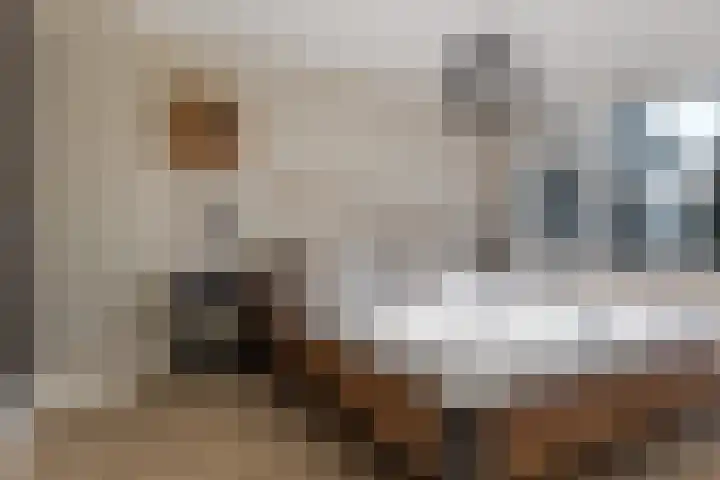 Essenburg 5 Ugchelen thumbnail 24