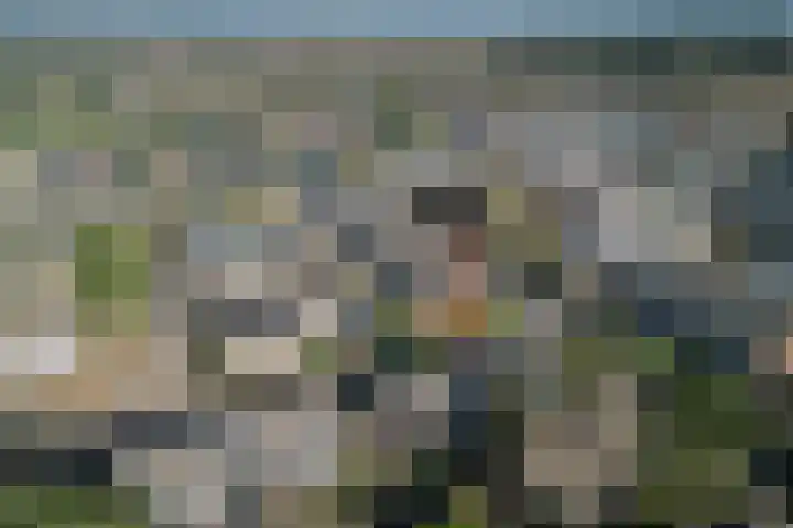 Essenburg 5 Ugchelen thumbnail 39