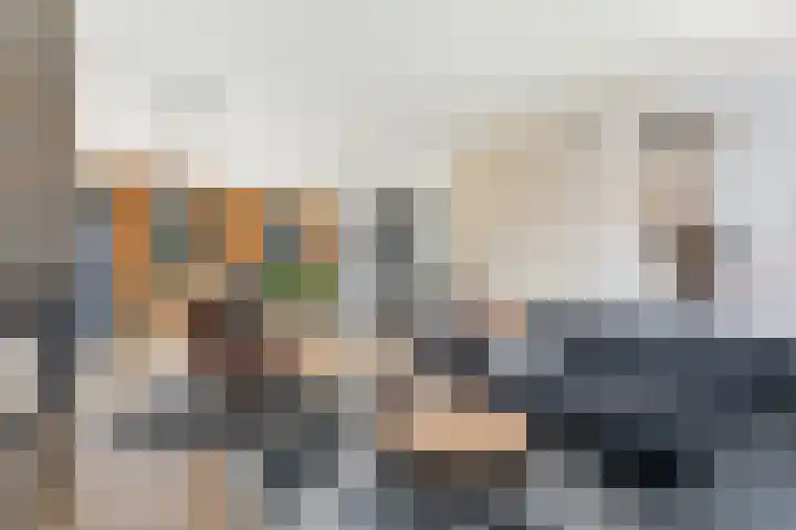 Essendijk 72 Rhoon thumbnail 17