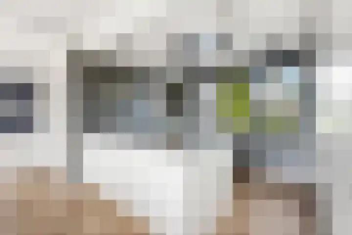 Essendijk 72 Rhoon thumbnail 24