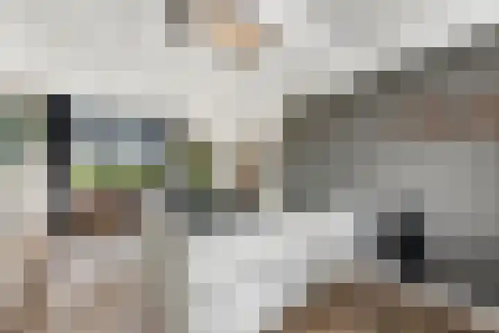 Essendijk 72 Rhoon thumbnail 25
