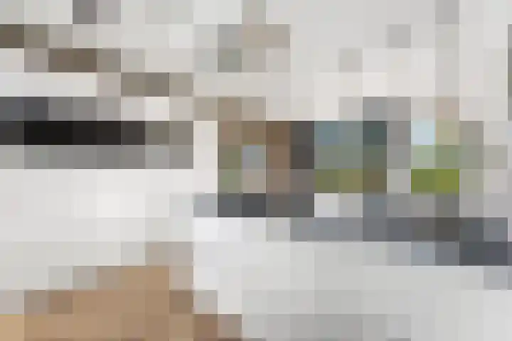Essendijk 72 Rhoon thumbnail 26