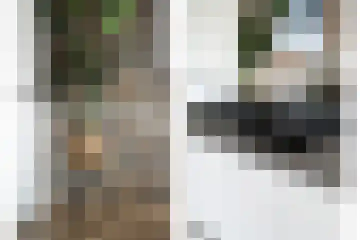 Essendijk 72 Rhoon thumbnail 27