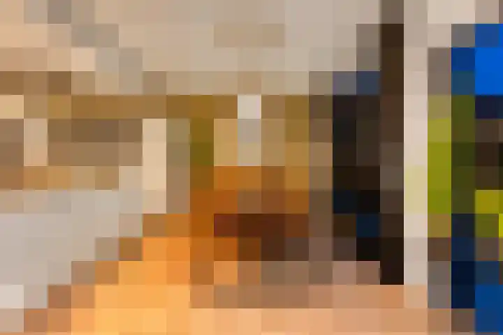 Essendijk 72 Rhoon thumbnail 29