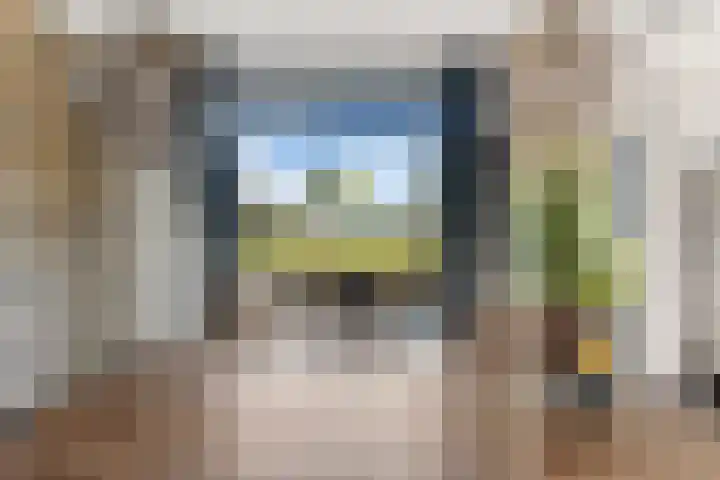Essendijk 72 Rhoon thumbnail 31
