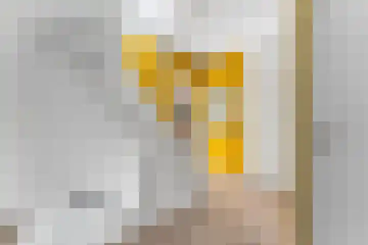 Essendijk 72 Rhoon thumbnail 32