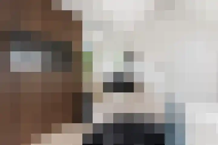 Essendijk 72 Rhoon thumbnail 35