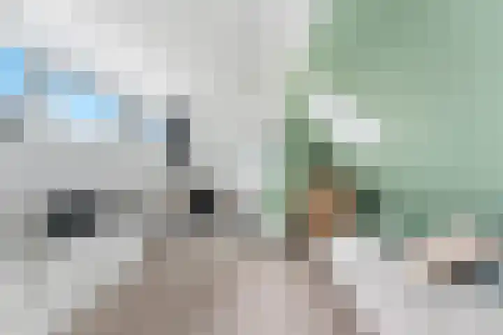 Essendijk 72 Rhoon thumbnail 44
