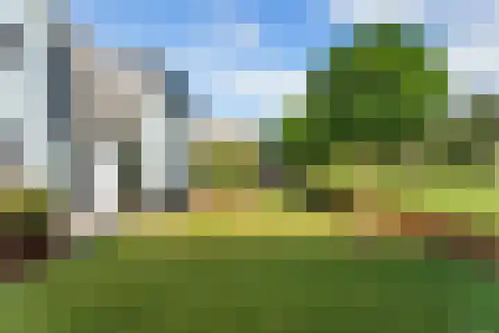 Essendijk 72 Rhoon thumbnail 46