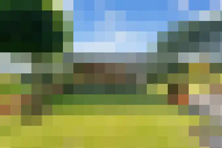Essendijk 72 Rhoon thumbnail 47