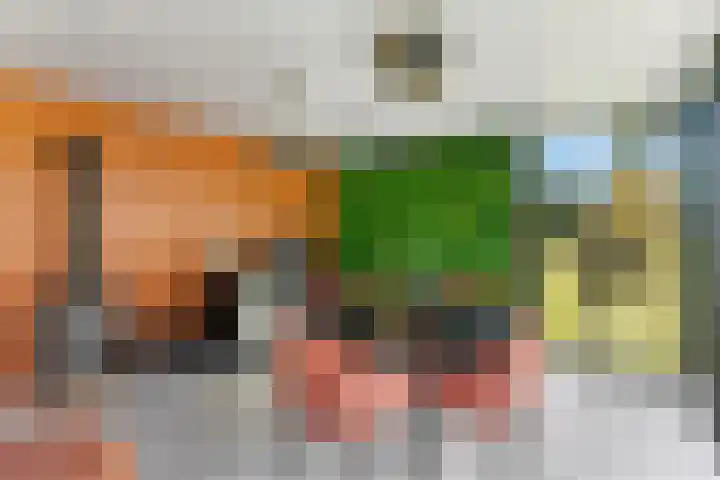 Essendijk 72 Rhoon thumbnail 51