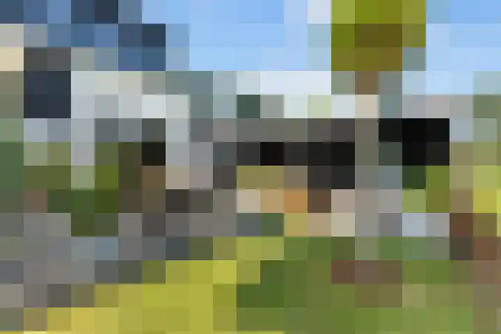 Essendijk 72 Rhoon thumbnail 53