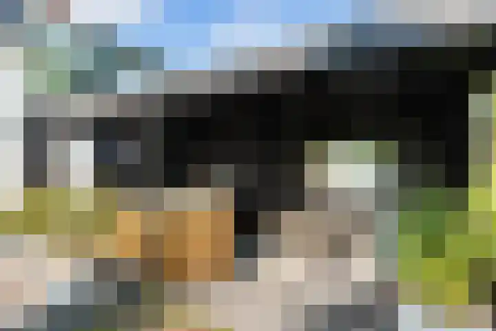 Essendijk 72 Rhoon thumbnail 55