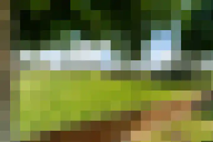Essendijk 72 Rhoon thumbnail 57