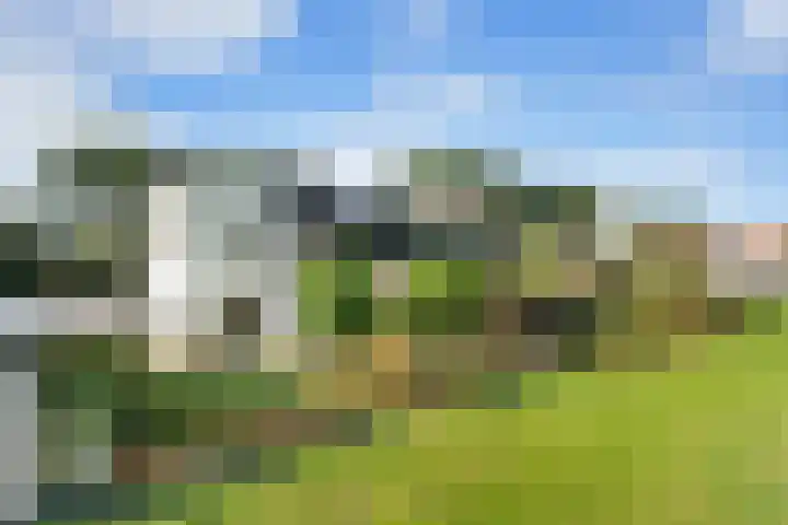 Essendijk 72 Rhoon thumbnail 58