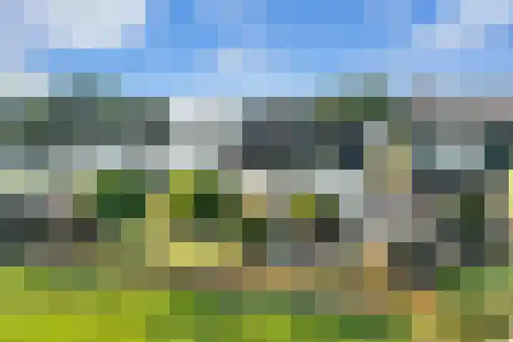 Essendijk 72 Rhoon thumbnail 59