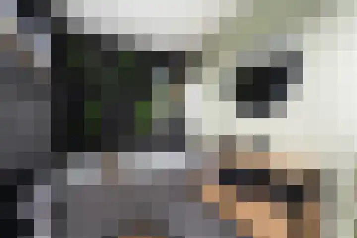 Essendijk 72 Rhoon thumbnail 6