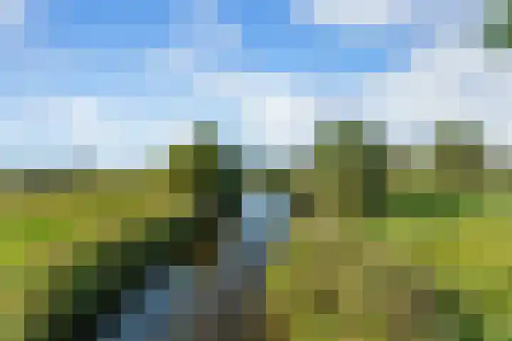 Essendijk 72 Rhoon thumbnail 63