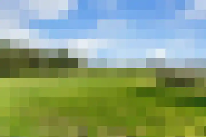 Essendijk 72 Rhoon thumbnail 64
