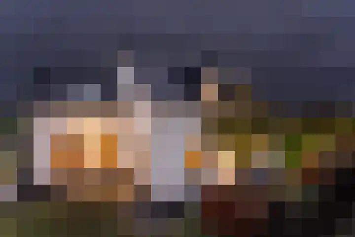 Essendijk 72 Rhoon thumbnail 65